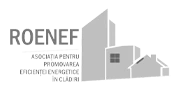 RoENEF — Romanian Energy Efficiency Association