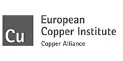European Copper Institute