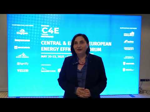 Video interview with Anca Ginavar